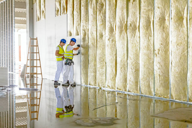 Professional Insulation Contractor in Smoke Rise, AL